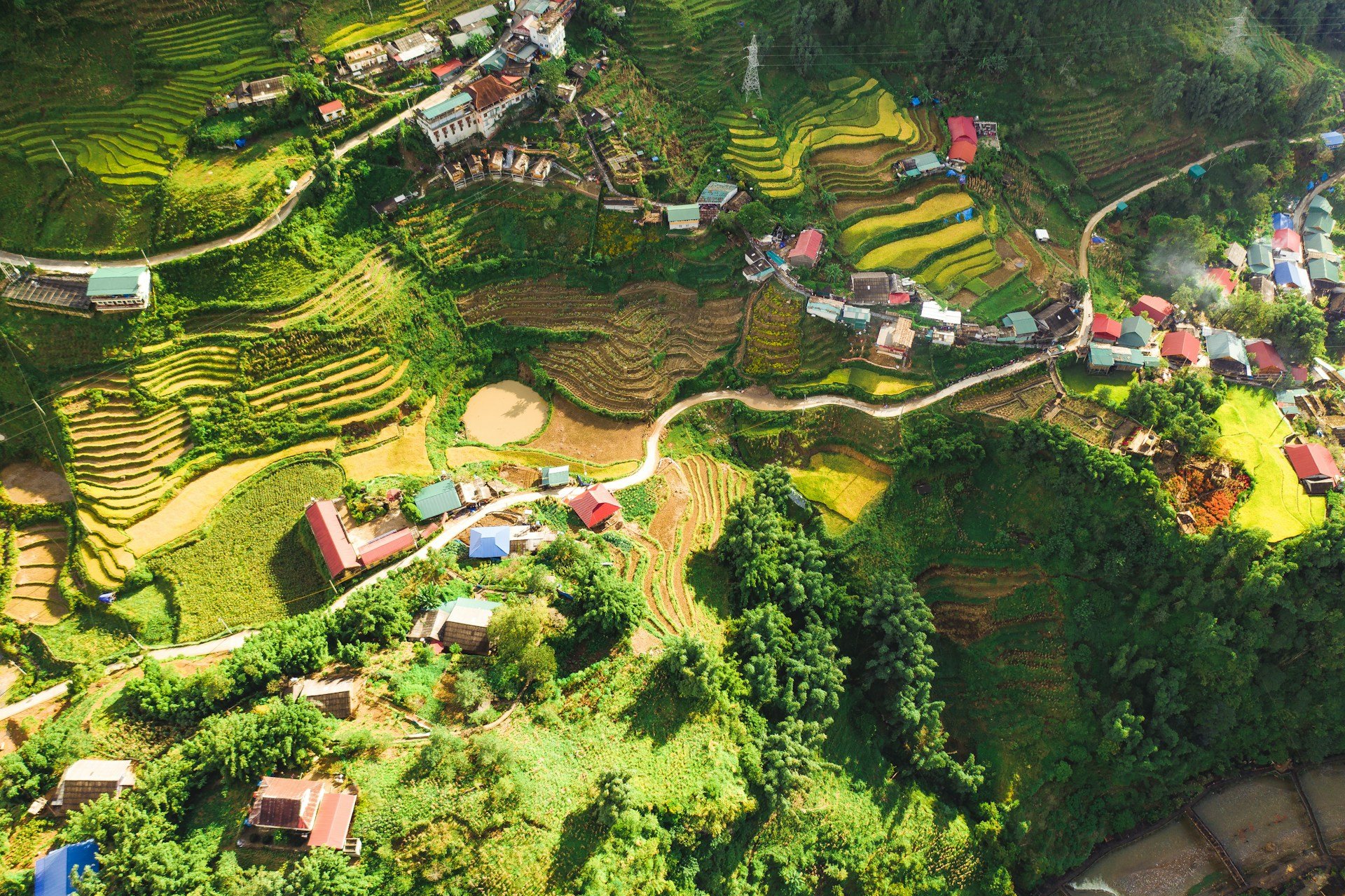 Top World Holidays